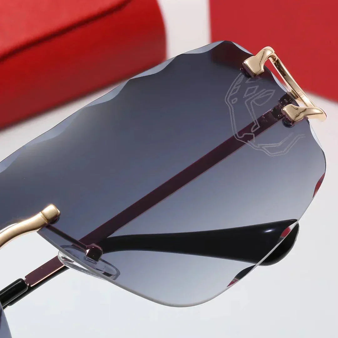 2025 Shield Sunglasses